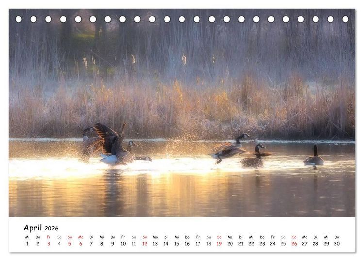 Produktbild: Morgendliche Stimmungen in Nordhessen (Tischkalender 2026 DIN A5 quer), CALVENDO Monatskalender