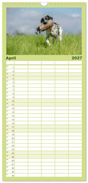 Produktbild: Familienplaner 2027 - Jagdhunde bei der Arbeit mit 5 Spalten (Wandkalender, 21 x 45 cm) CALVENDO