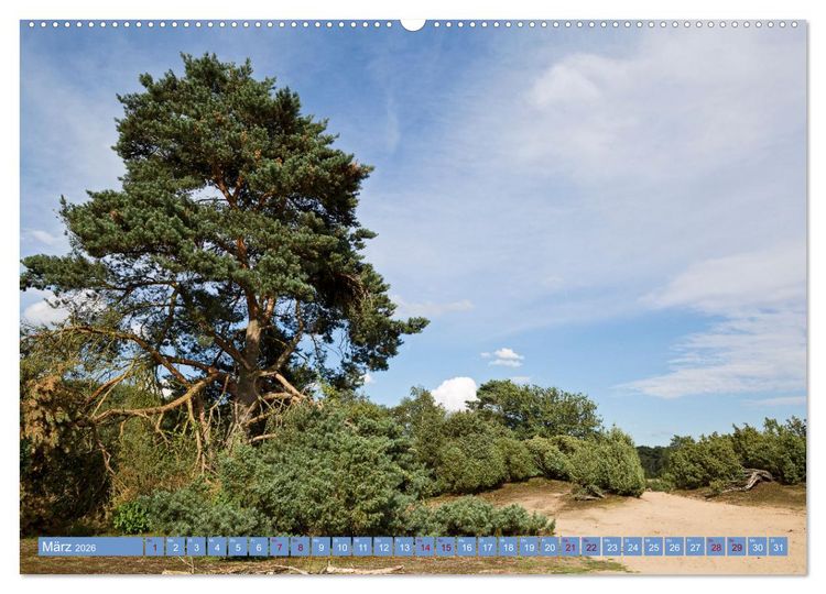 Produktbild: Haltern am See (hochwertiger Premium Wandkalender 2026 DIN A2 quer), Kunstdruck in Hochglanz