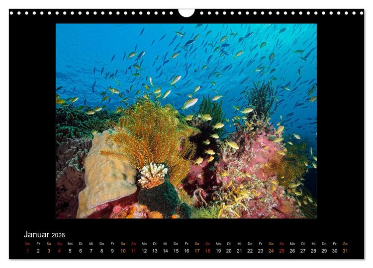 Produktbild: OCEAN - ART (Wandkalender 2026 DIN A3 quer), CALVENDO Monatskalender