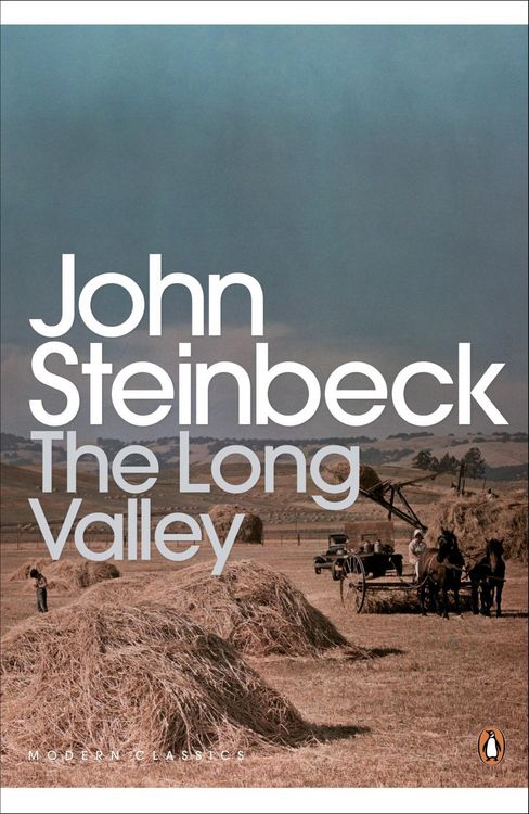 Produktbild: The Long Valley