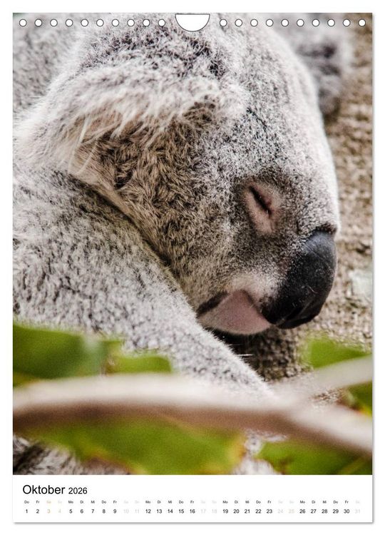 Produktbild: australian animals (Wandkalender 2026 DIN A4 hoch), CALVENDO Monatskalender