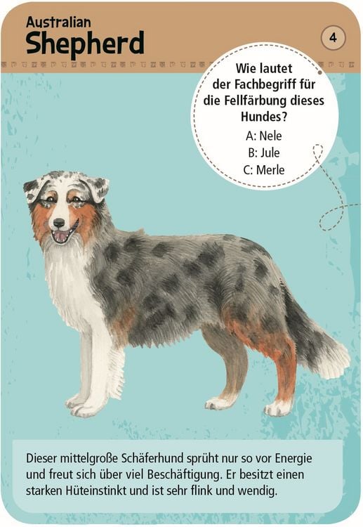 Produktbild: Expedition Natur - 50 Hunde erkennen & bestimmen