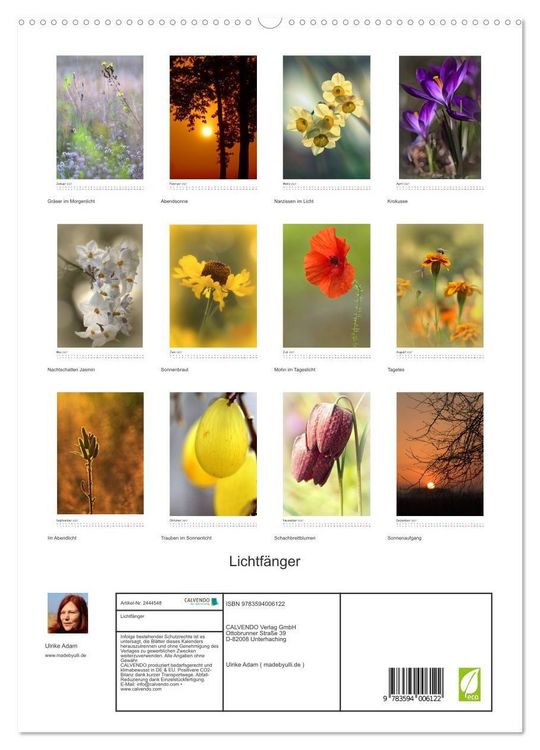 Produktbild: Lichtf&auml;nger (hochwertiger Premium Wandkalender 2027 DIN A2 hoch), Kunstdruck in Hochglanz