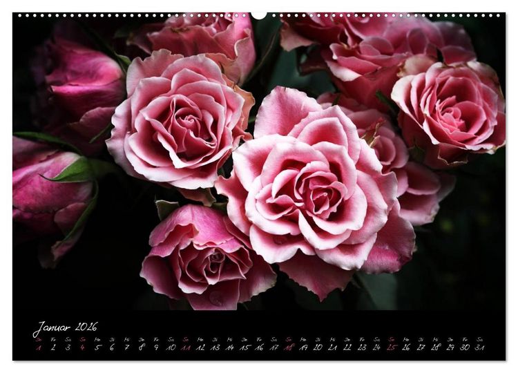 Produktbild: Florales Sonett - Visuelle Musik der Blumen (Wandkalender 2026 DIN A2 quer), CALVENDO Monatskalender