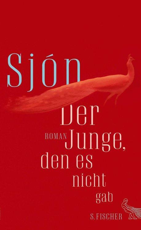 Produktbild: Der Junge, den es nicht gab