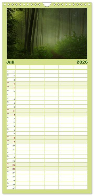 Produktbild: Familienplaner 2026 - Mysterium Wald mit 5 Spalten (Wandkalender, 21 x 45 cm) CALVENDO
