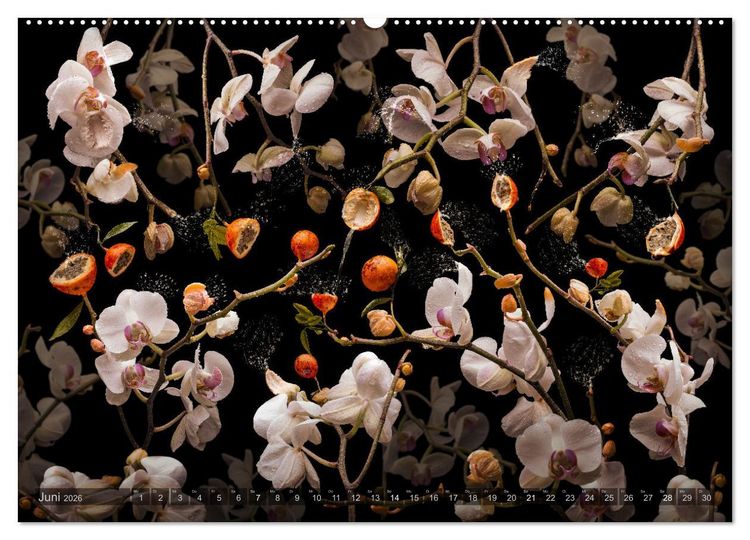 Produktbild: Orchidea (Wandkalender 2026 DIN A2 quer), CALVENDO Monatskalender