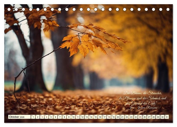 Produktbild: Waldbaden - Shinrin Yoku (Tischkalender 2026 DIN A5 quer), CALVENDO Monatskalender