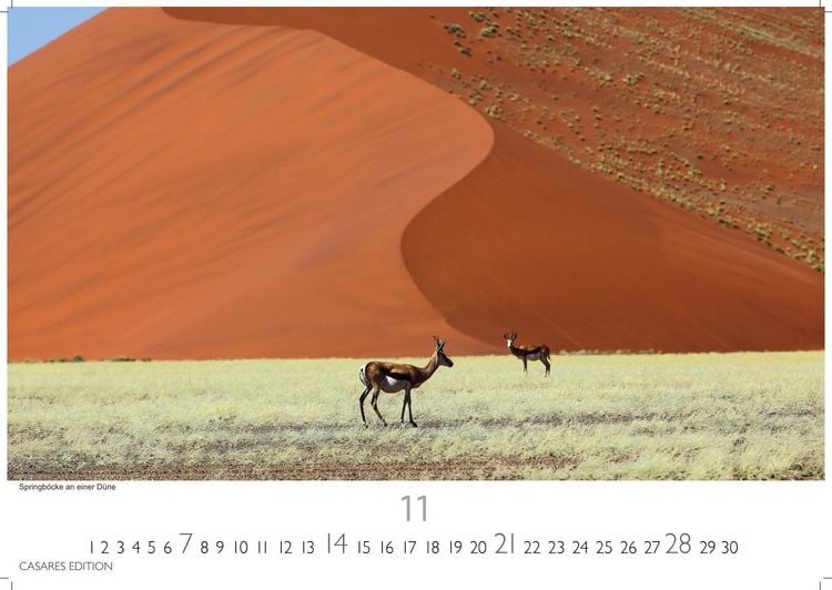 Produktbild: Wilde Tiere Afrikas Kalender 2027 &ndash; Wandkalender | Fotokalender Afrika 35x50cm | Naturfotografie | Tierkalender Afrika | Geschenk f&uuml;r Naturliebhaber