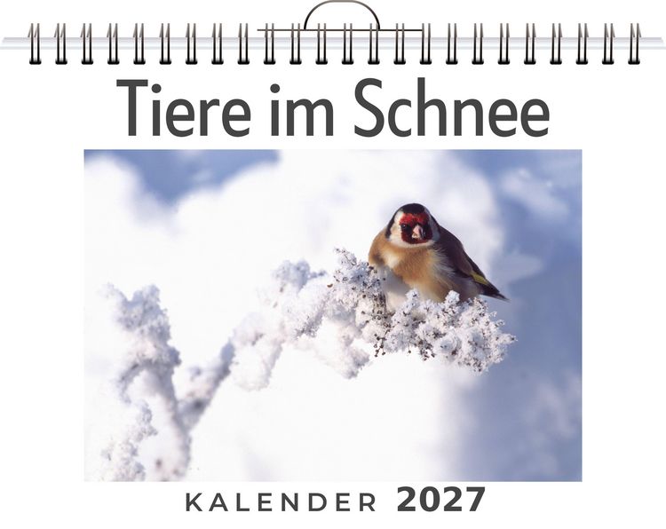 Produktbild: Tiere im Schnee