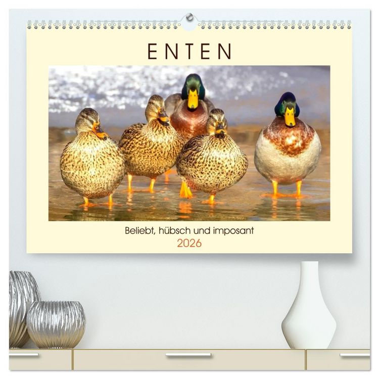 Produktbild: Enten. Beliebt, h&uuml;bsch und imposant (hochwertiger Premium Wandkalender 2026 DIN A2 quer), Kunstdruck in Hochglanz
