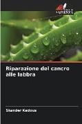 Produktbild: Riparazione del cancro alle labbra