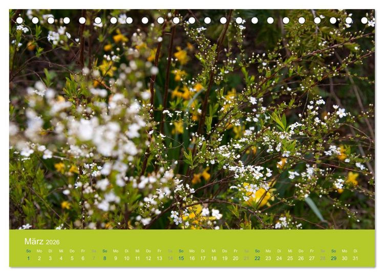 Produktbild: Gartenfl&uuml;stern (Tischkalender 2026 DIN A5 quer), CALVENDO Monatskalender