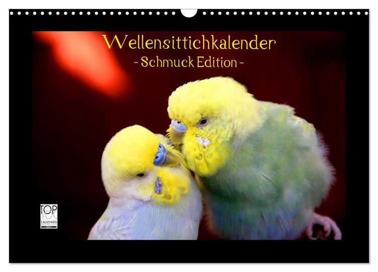 Produktbild: Wellensittichkalender - Schmuck Edition (Wandkalender 2026 DIN A3 quer), CALVENDO Monatskalender
