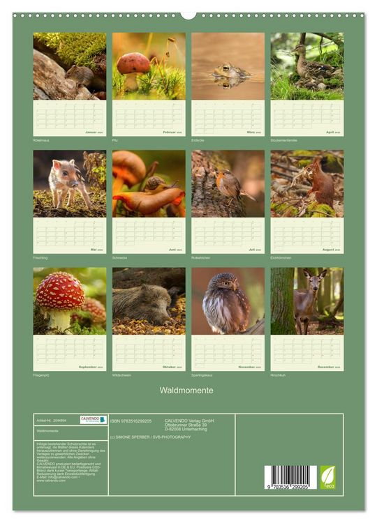 Produktbild: Waldmomente (hochwertiger Premium Wandkalender 2026 DIN A2 hoch), Kunstdruck in Hochglanz