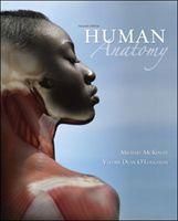 Produktbild: Mckinley, M: Human Anatomy