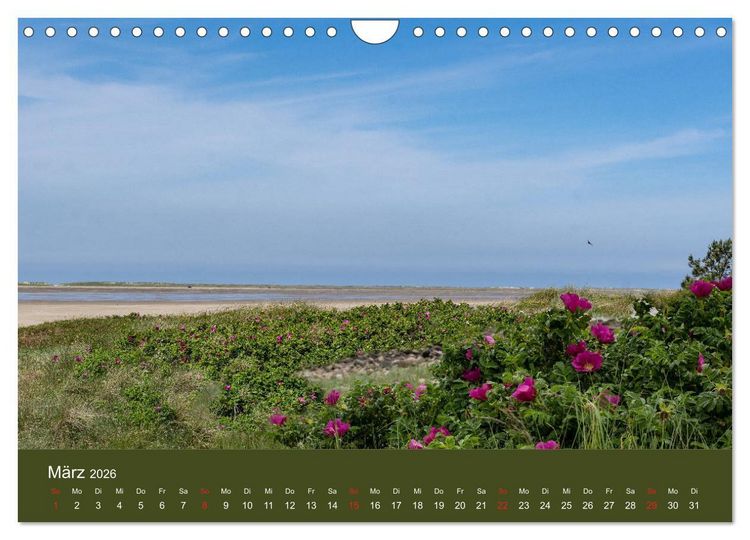 Produktbild: R&ouml;m&ouml; - Wasser, Wind und endloser Strand (Wandkalender 2026 DIN A4 quer), CALVENDO Monatskalender