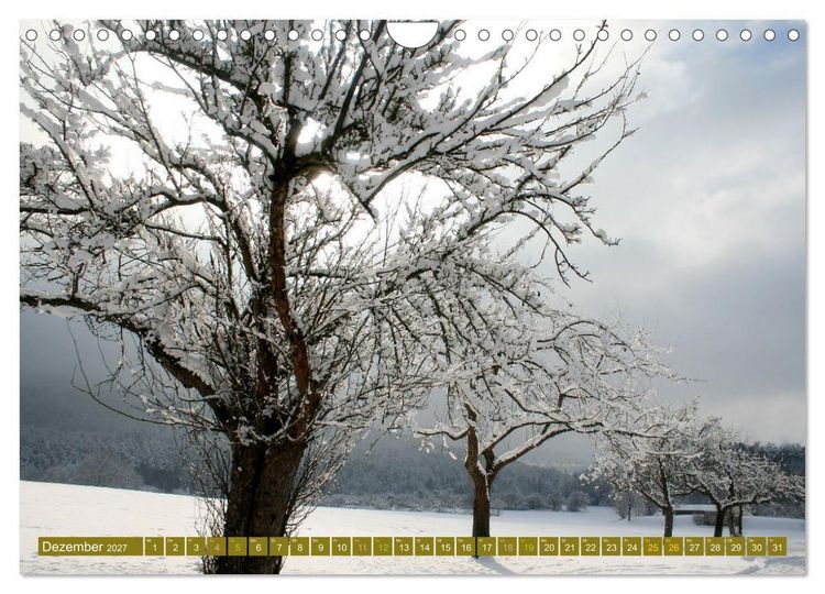 Produktbild: Apfelbaum und Streuobstwiesen (Wandkalender 2027 DIN A4 quer), CALVENDO Monatskalender