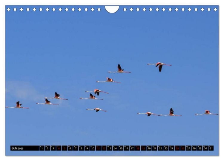 Produktbild: Faszination Sardinien (Wandkalender 2026 DIN A4 quer), CALVENDO Monatskalender