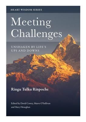 Produktbild: Meeting Challenges