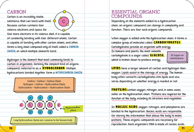Produktbild: Everything You Need to Ace Biology in One Big Fat Notebook