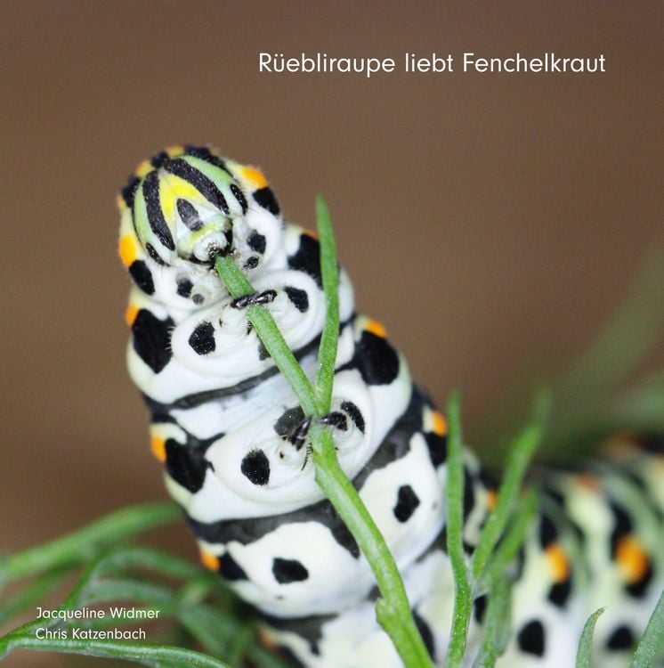 Produktbild: R&uuml;ebliraupe liebt Fenchelkraut