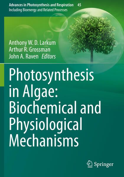 Produktbild: Photosynthesis in Algae: Biochemical and Physiological Mechanisms
