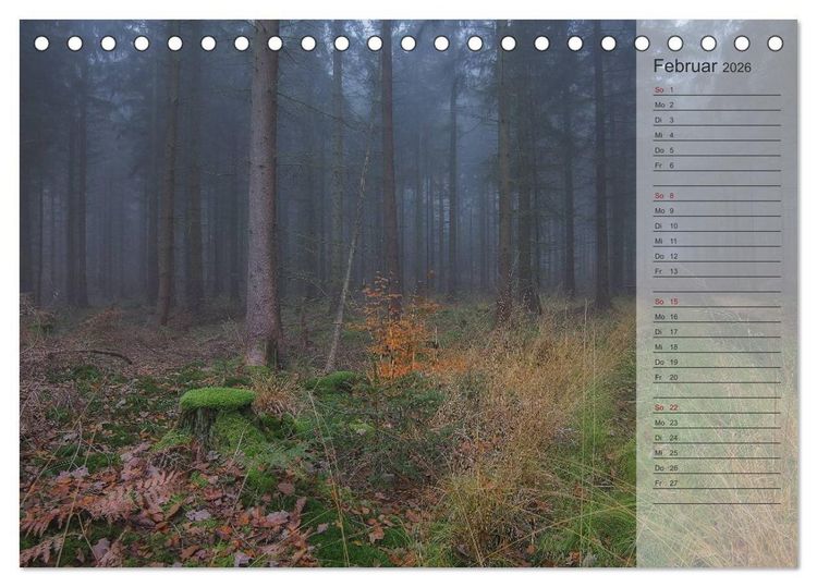 Produktbild: Unser Wald - Magische Sichten in norddeutsche W&auml;lder / Geburtstagskalender (Tischkalender 2026 DIN A5 quer), CALVENDO Monatskalender