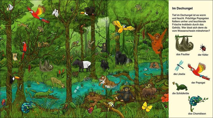 Produktbild: Suche und finde! - Wilde Tiere