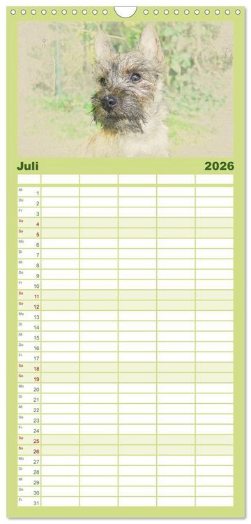 Produktbild: Familienplaner 2026 - Hundewelpen 2026 mit 5 Spalten (Wandkalender, 21 x 45 cm) CALVENDO