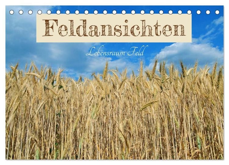 Produktbild: Feldansichten (Tischkalender 2027 DIN A5 quer), CALVENDO Monatskalender