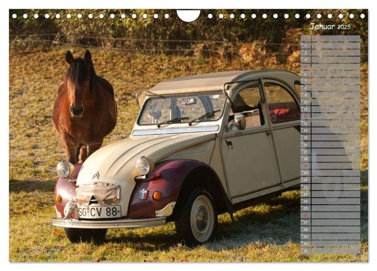 Produktbild: Kultautomobil Ente Citro&euml;n 2CV (Wandkalender 2025 DIN A4 quer), CALVENDO Monatskalender
