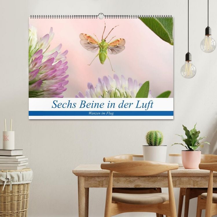 Produktbild: Sechs Beine in der Luft - Wanzen im Flug (Wandkalender 2026 DIN A2 quer), CALVENDO Monatskalender