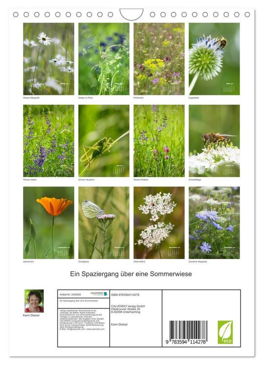 Produktbild: Ein Spaziergang &uuml;ber eine Sommerwiese (Wandkalender 2027 DIN A4 hoch), CALVENDO Monatskalender