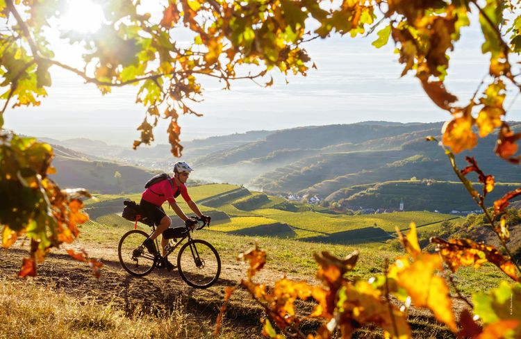 LONELY PLANET Bildband: Legendäre Radtouren In Deutschland - 40 Routen Zwischen Alpen & Meer