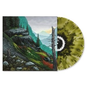 Produktbild: A Distant Fire (Moss & Rain Coloured LP)