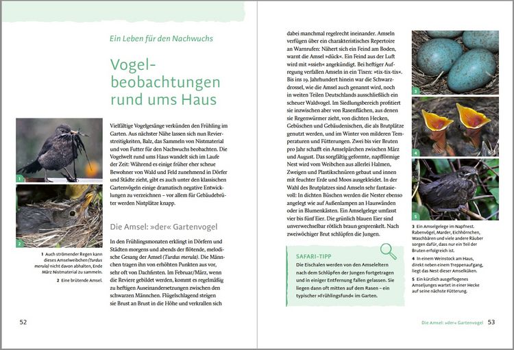 Produktbild: Gartensafari
