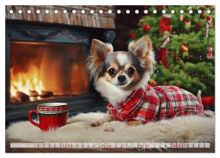Produktbild: Chillige Chihuahuas - Entspannte Fellnasen genie&szlig;en das Leben (Tischkalender 2026 DIN A5 quer), CALVENDO Monatskalender