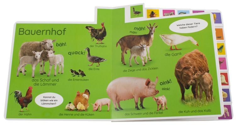 Produktbild: Erstes Lernen. Tiere