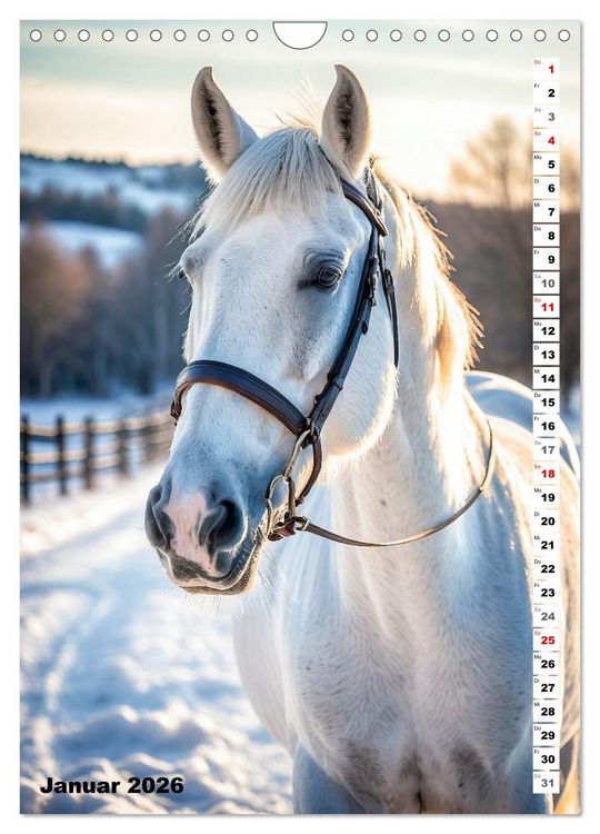 Produktbild: Pferdekalender - Wundersch&ouml;ne Pferde in Natur und Portraits (Wandkalender 2026 DIN A4 hoch), CALVENDO Monatskalender