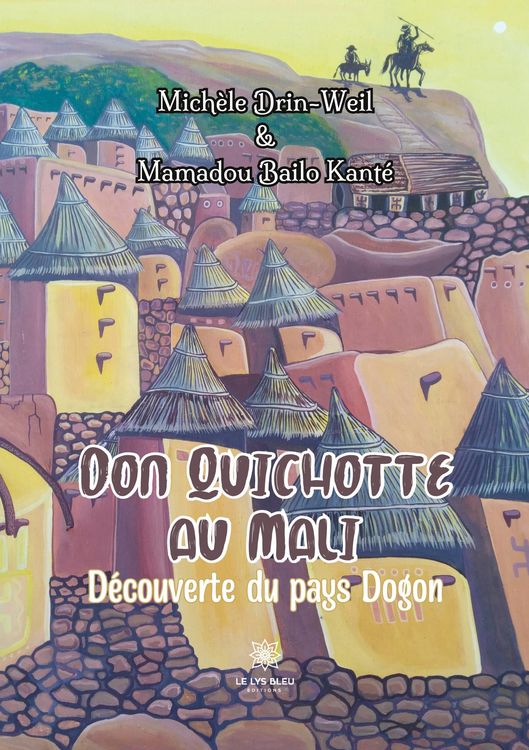 Produktbild: Mich&egrave;le Drin-Weil: Don Quichotte au Mali