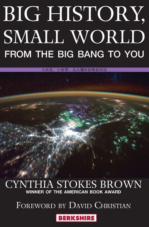Produktbild: Big History, Small World