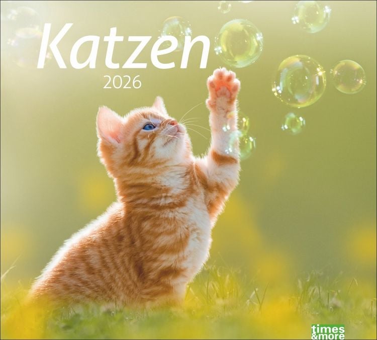 Produktbild: Times&more Katzen Bildkalender 2026