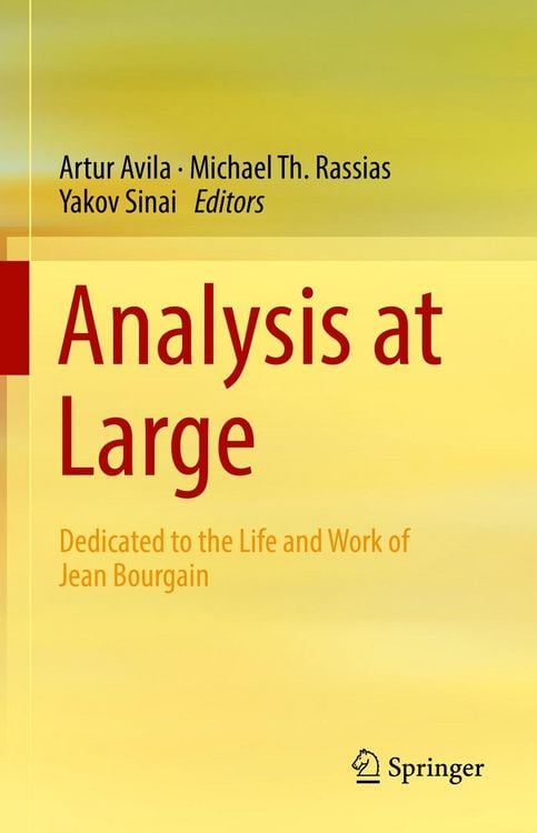 Produktbild: Analysis at Large