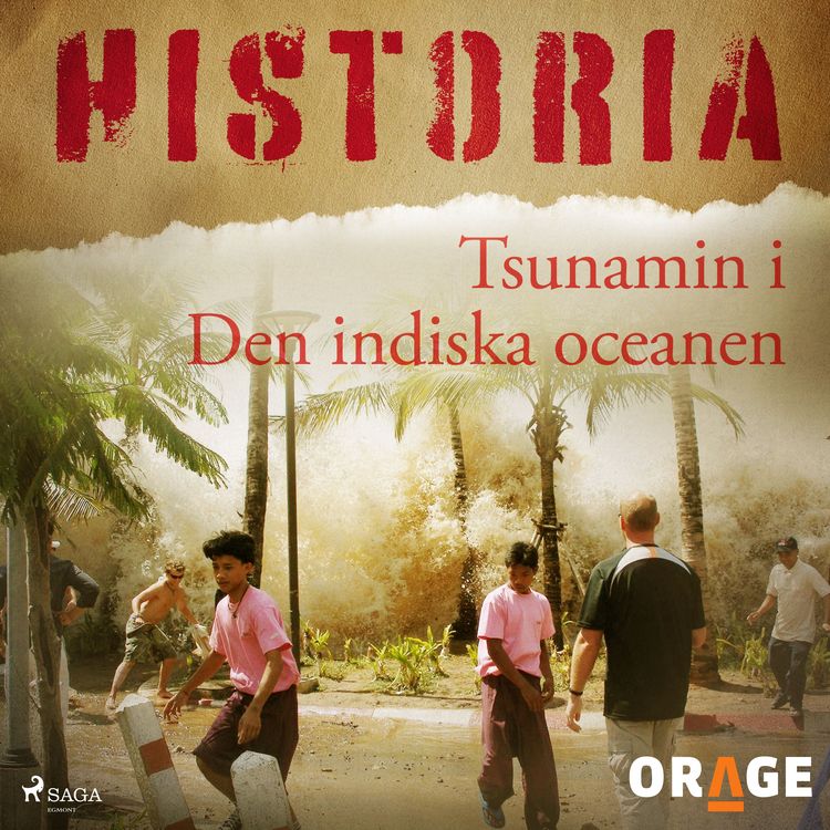 Produktbild: Tsunamin i Den indiska oceanen