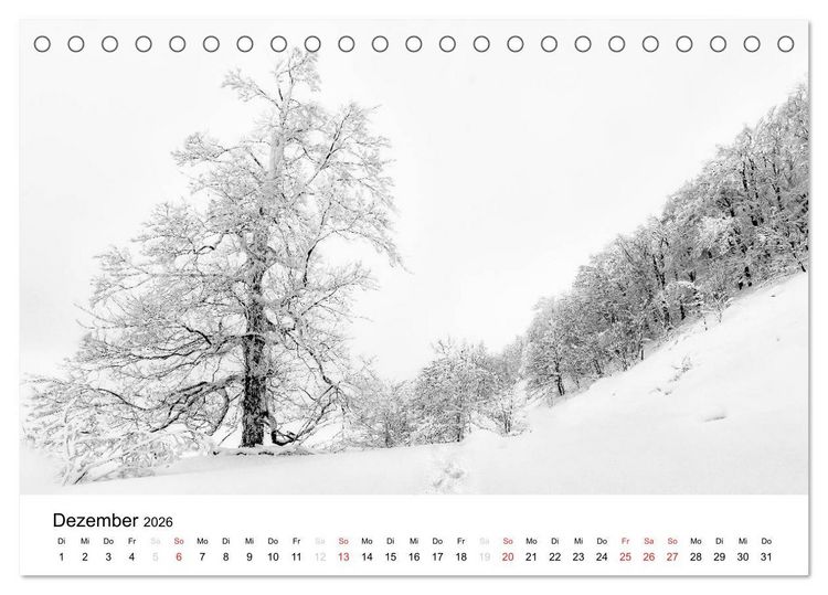 Produktbild: Naturerlebnis im Biosph&auml;renreservat Rh&ouml;n (Tischkalender 2026 DIN A5 quer), CALVENDO Monatskalender