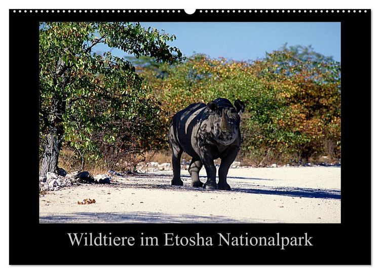 Produktbild: Wildtiere im Etosha Nationalpark (Wandkalender 2026 DIN A2 quer), CALVENDO Monatskalender