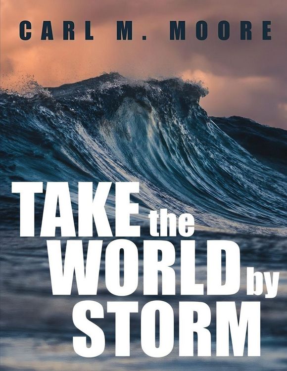 Produktbild: Take the World by Storm