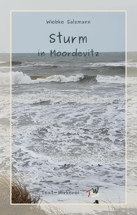 Produktbild: Sturm in Moordevitz